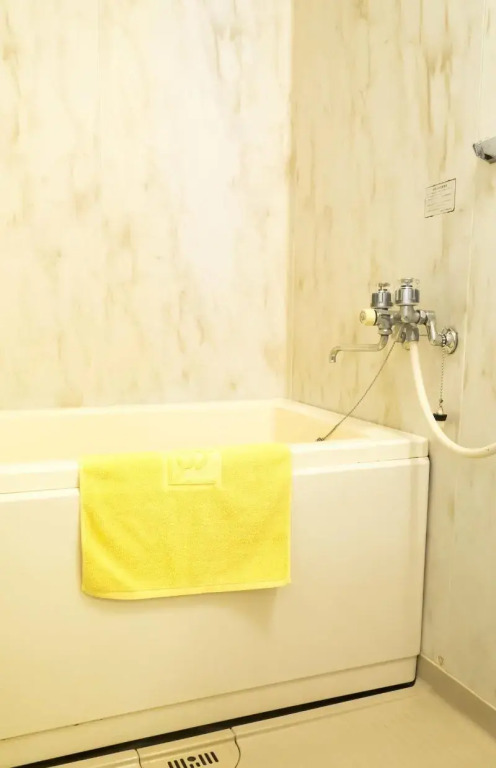Hikone Station Hotel