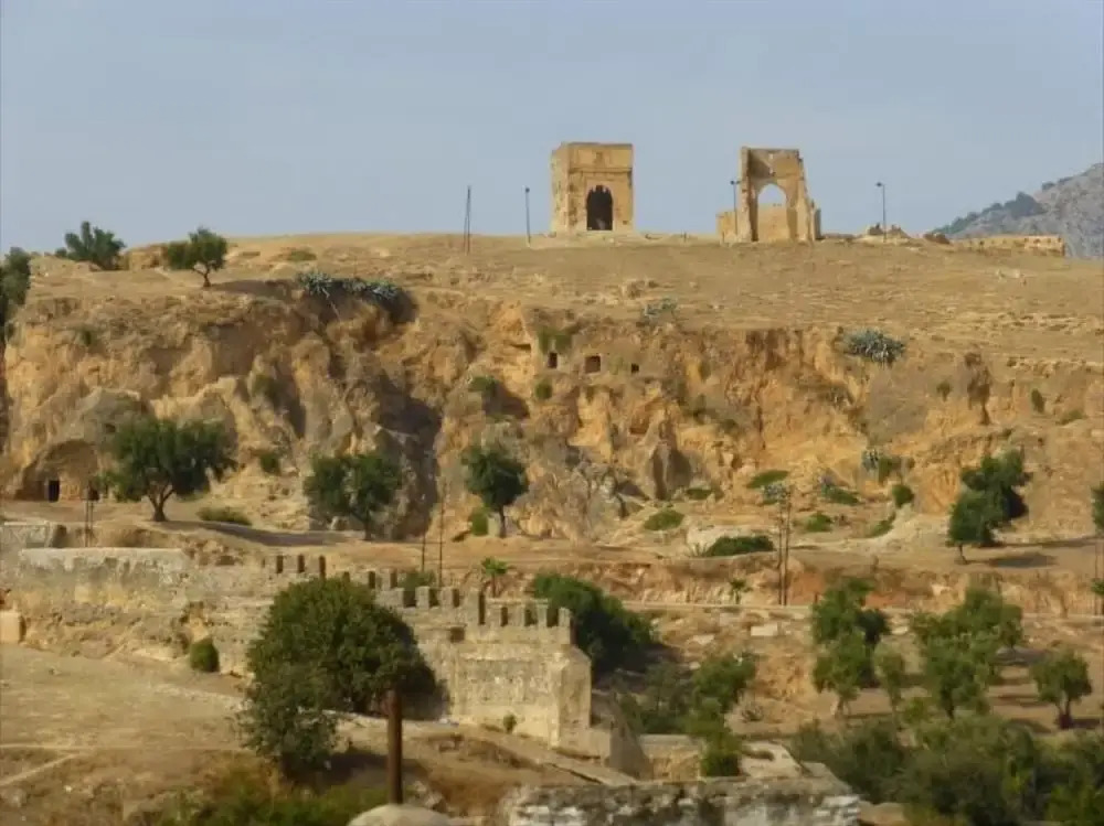 Riad lala Drissia