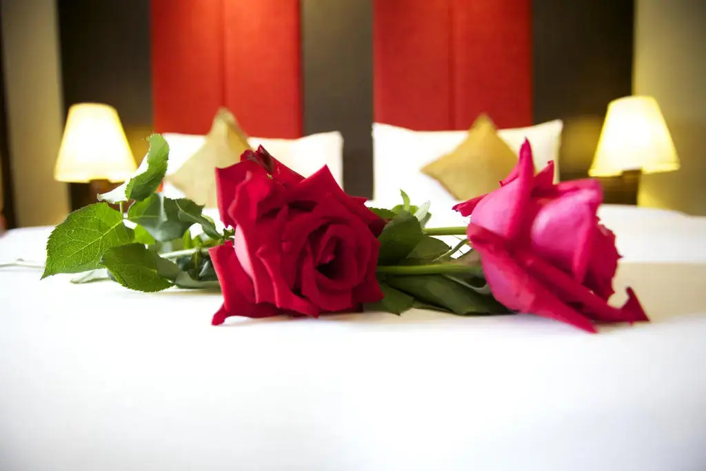 Intimate Hotel Pattaya - SHA Extra Plus