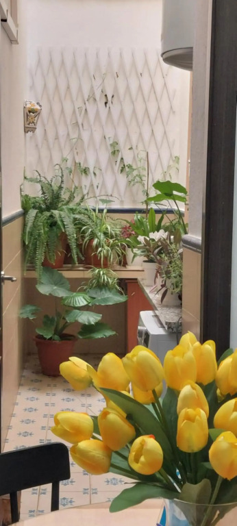 Apartamentos Los Descalzos