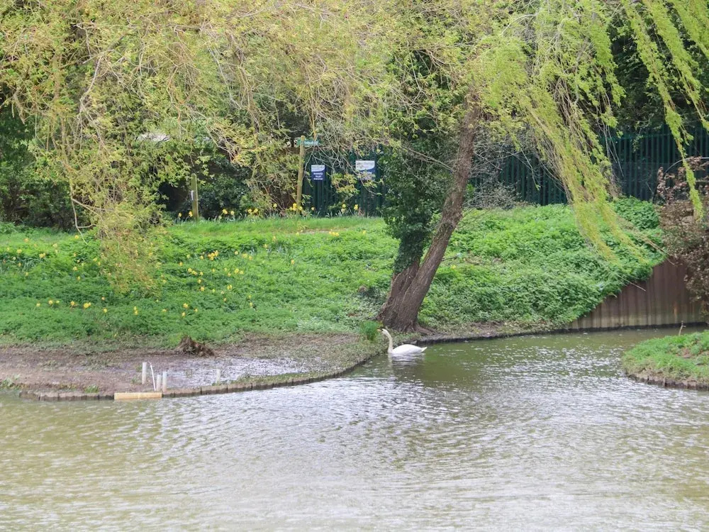 Thames Retreat