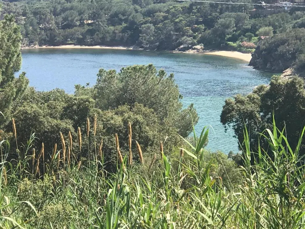 Suosogno sul mare 200metri dalla spiaggia
