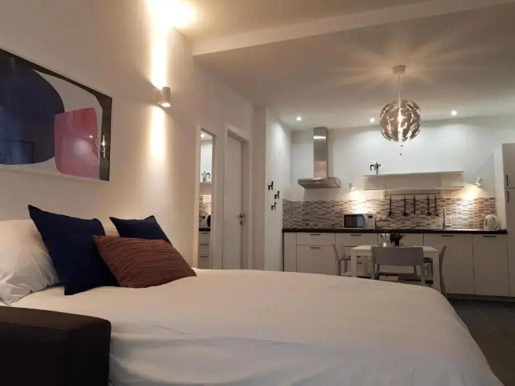 One bedroom appartement with wifi at Roma