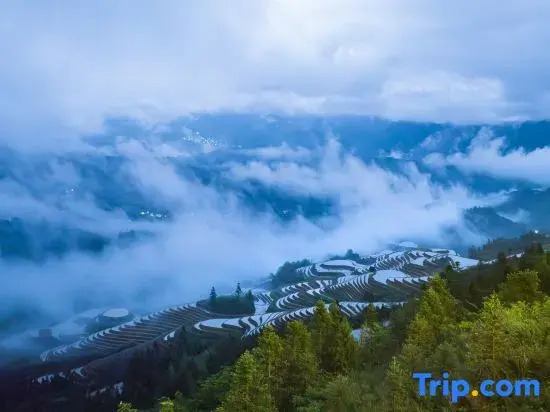 Muyi Panorama Homestay (Longji Rice Terraces Jinfodian Viewing Platform)