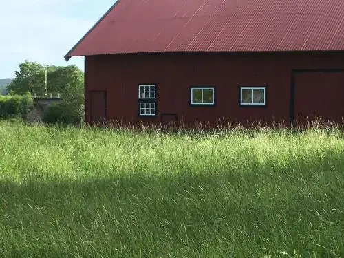 Orrekläpp