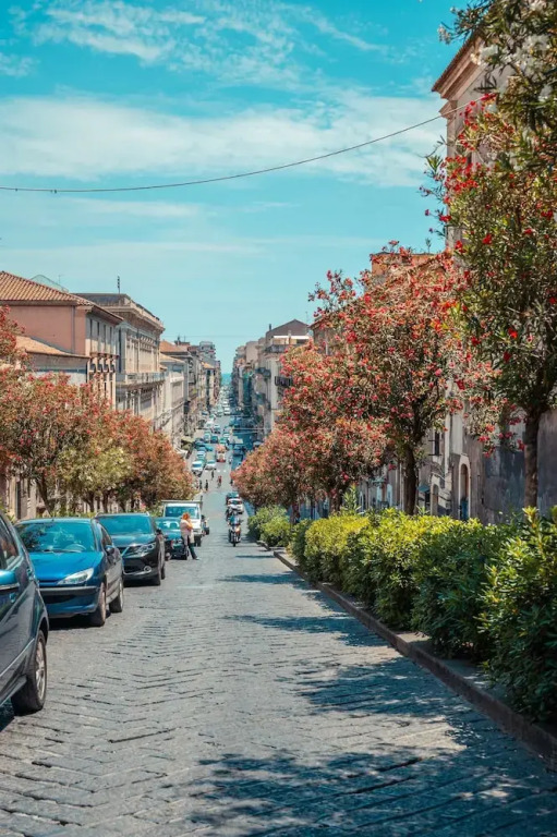 La Suite di Piazza dellUniversità