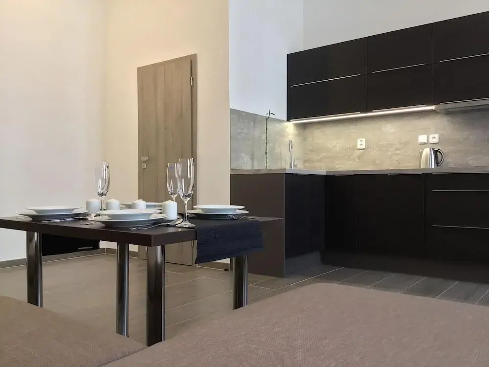 EURO APARTMENTS LIDICKÁ 39 BRNO