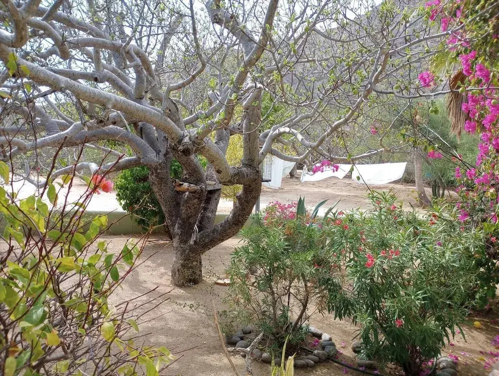 Casa Pajaros