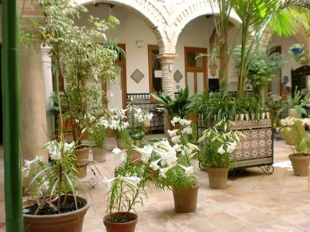 Hostal Comercio