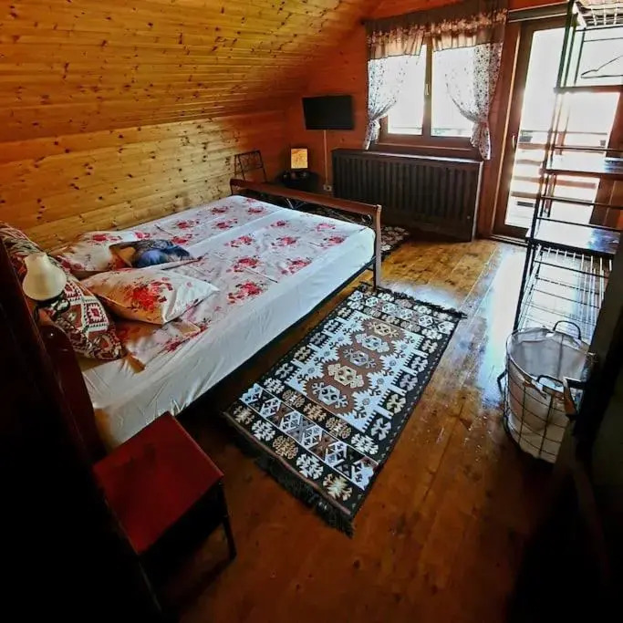 Old Mark's House Sinaia