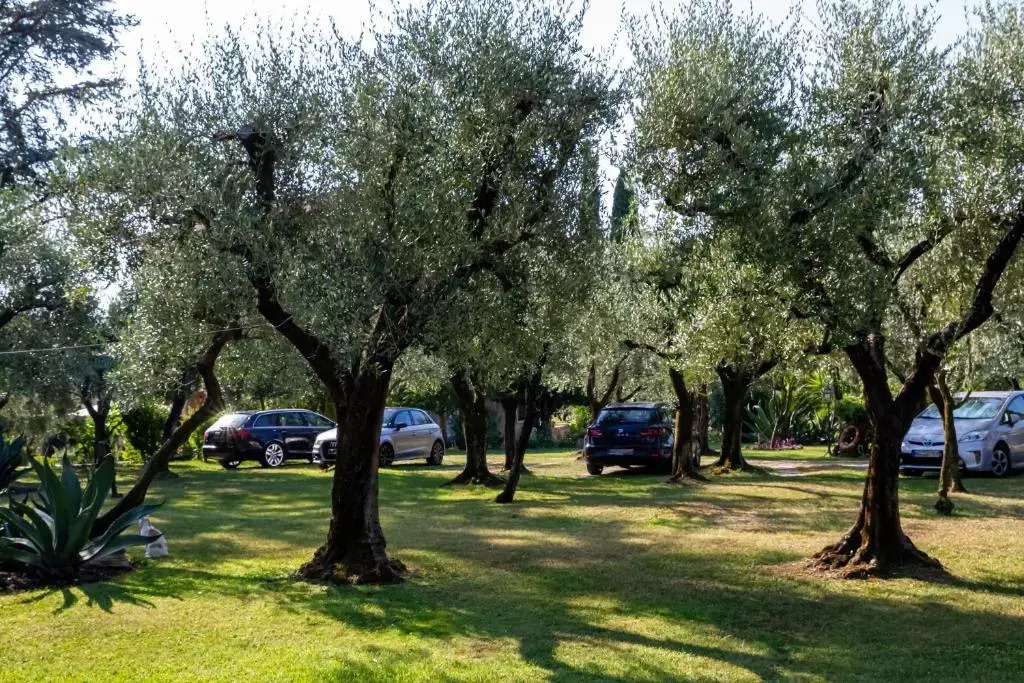 Villa Paradiso Apartment