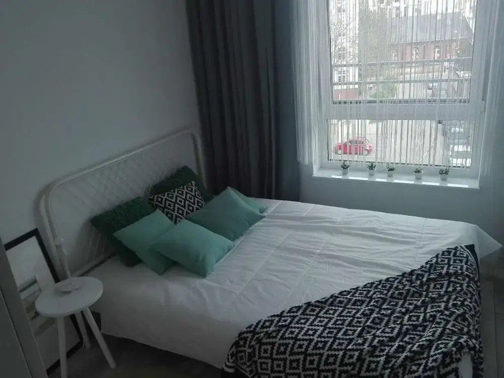 Penguin Apartments City Center Dmowskiego