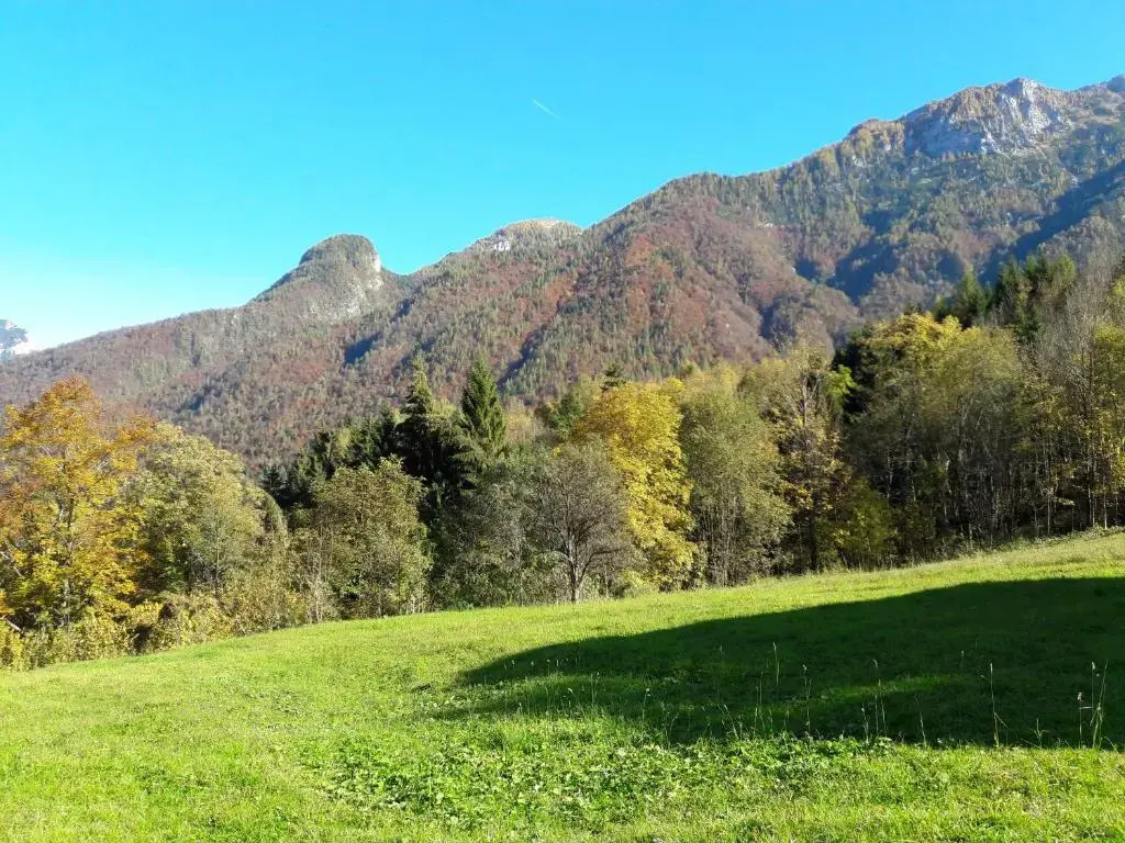 B&B DOLOMIA