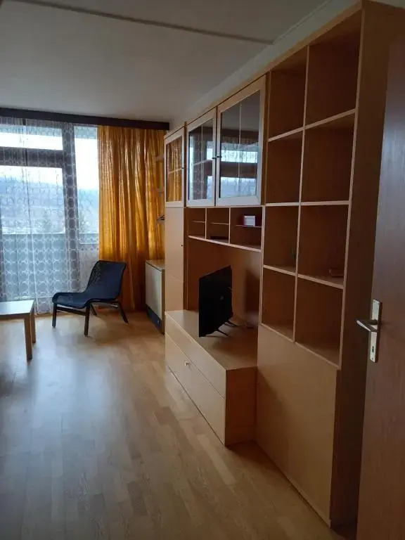 Panoramis apartment in Schladming