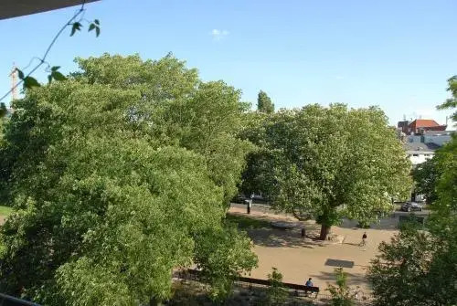 Treetop Apartment