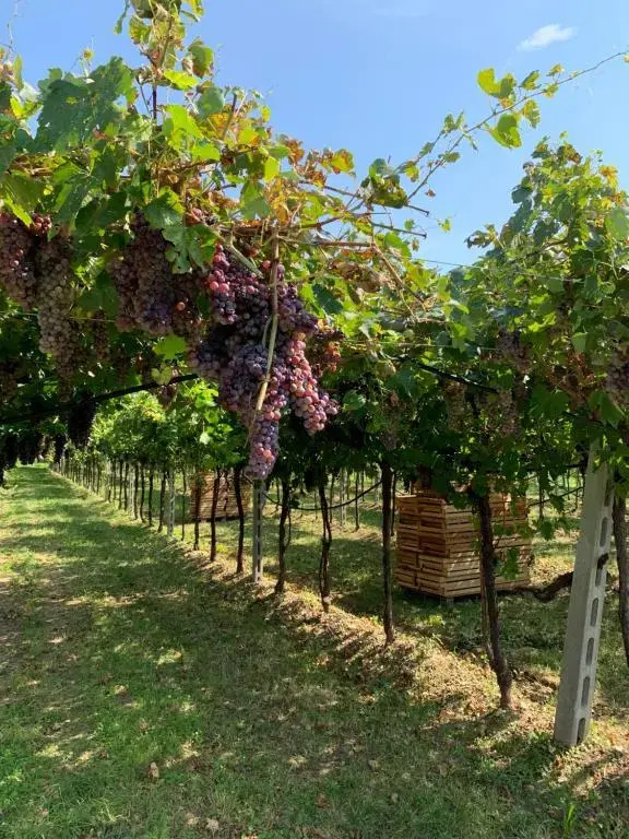 CASA ROSETTA VALPOLICELLA