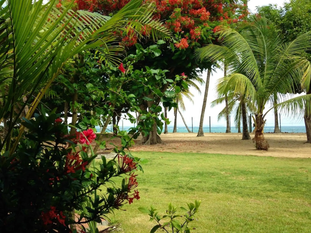Appartement d'une chambre a Le Moule a 30 m de la plage avec vue sur la mer jardin clos et wifi