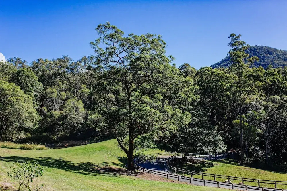 Ruffles Lodge & Spa