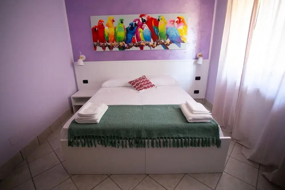 B&B Trepo