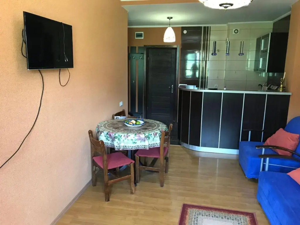 Bakuriani Hills Apartment