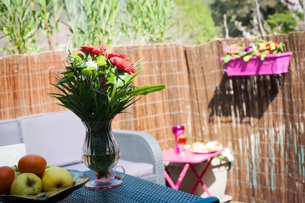 Provence Paradise