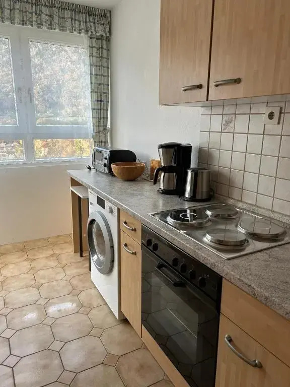 Reichenbach Apartment