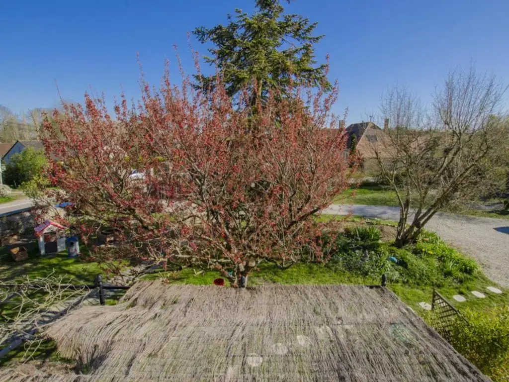 Gîte Dosches, 4 pièces, 7 personnes - FR-1-543-212