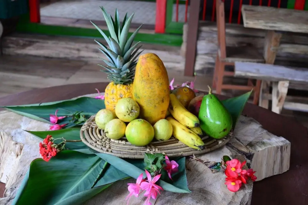 Ecohotel Pinohermoso