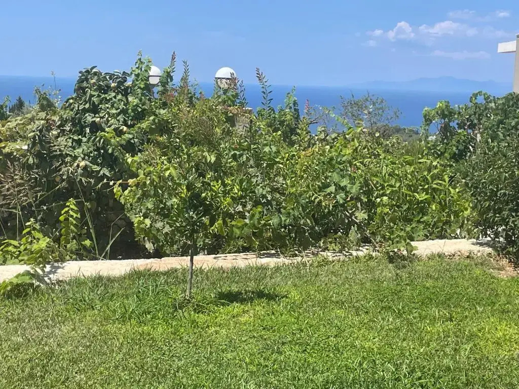 Goudis suites
