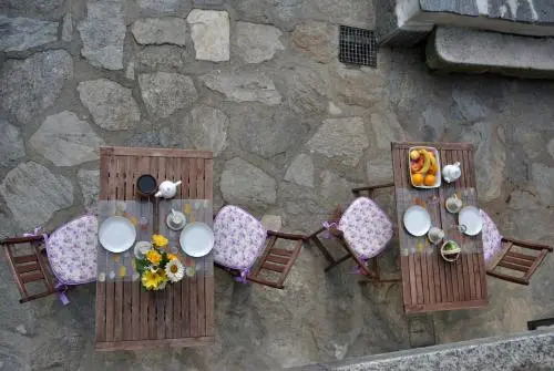 B&B Campino