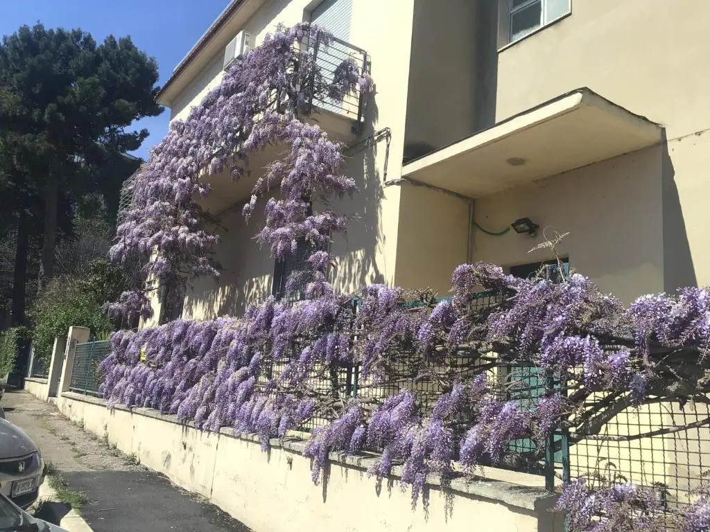 Appartamento il Glicine Pescara Centro