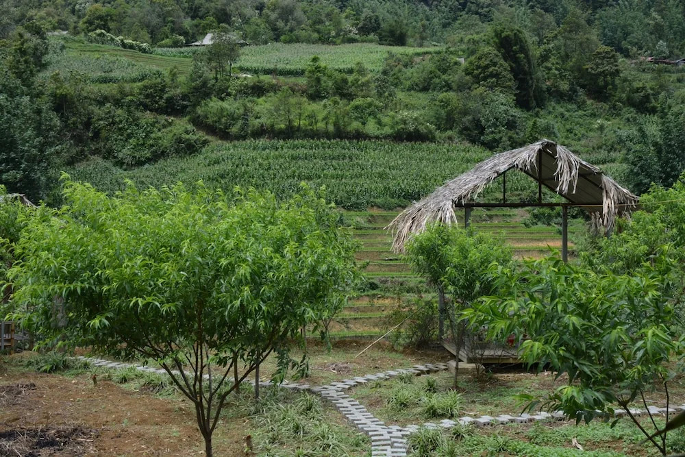 Sapa Homestay Trekking Tour For Backpackers