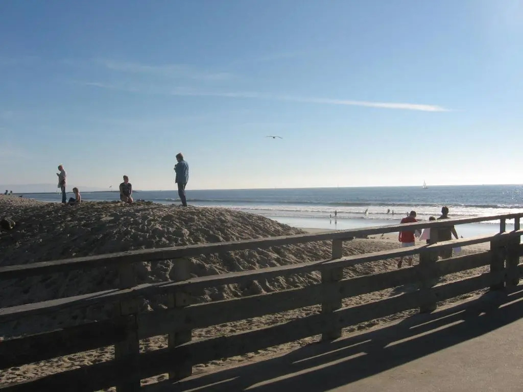 Venice Beach Gem
