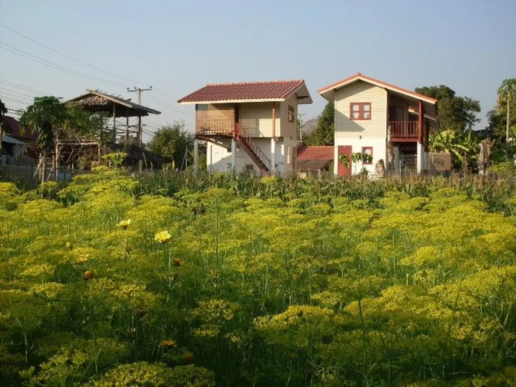 Churn Yuen Pai by Gampanat Guesthouse