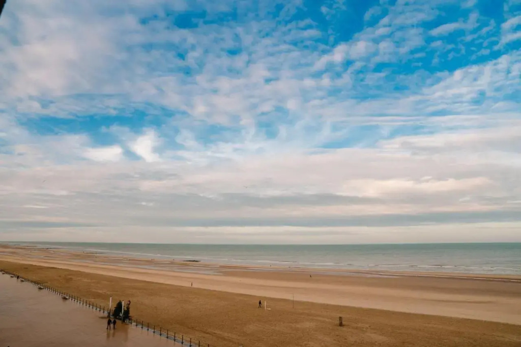 Studio47 (Adults Only)