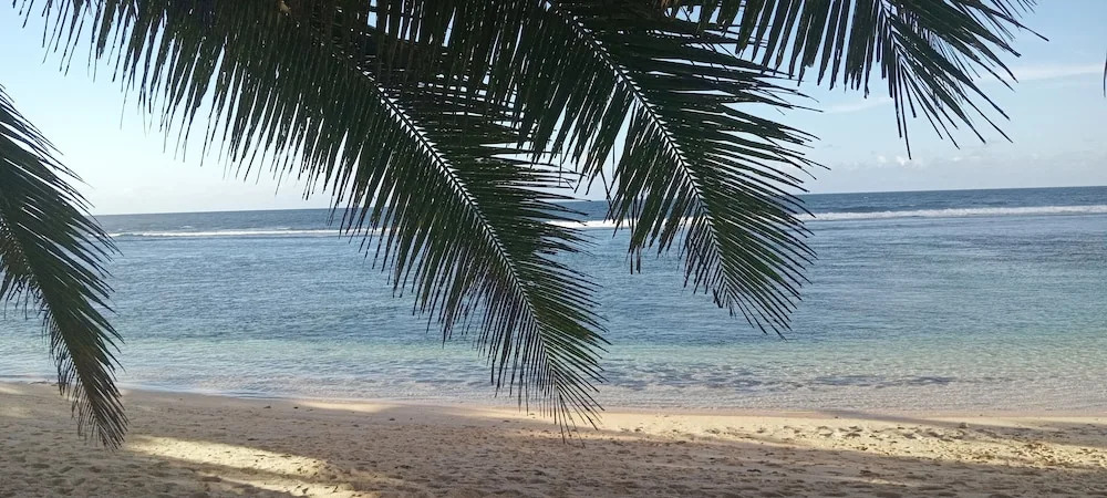 Jaymy Beach Fales