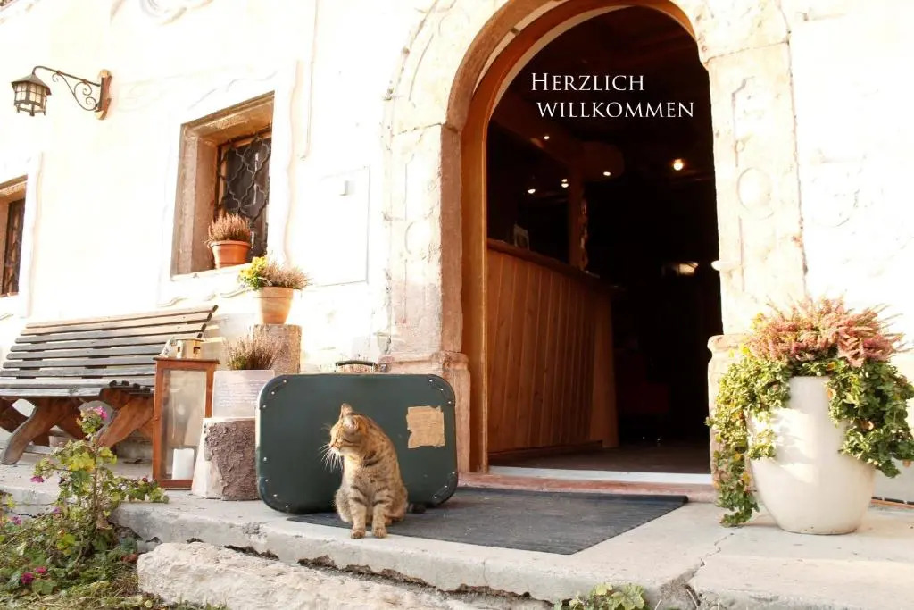 Bio Archehof Zachhiesen - stay & relax