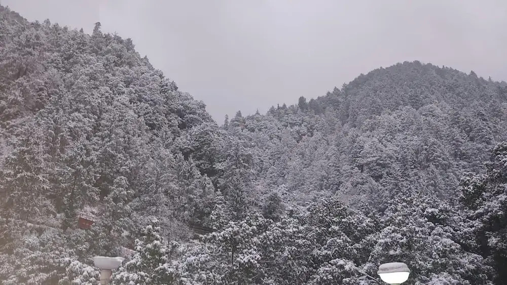 Hotel Paradise hiils dalhousie