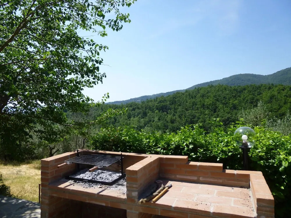 Lovely estate not far from Florence with olives trees
