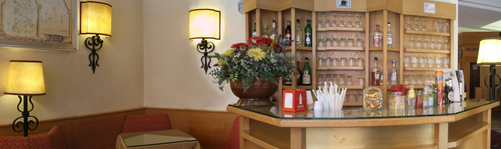 Camelia Rooms Venice Guesthouse