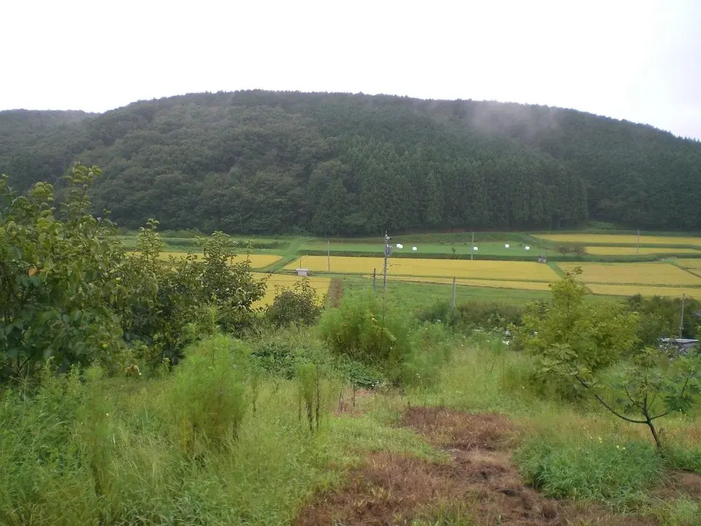 Kakinouen