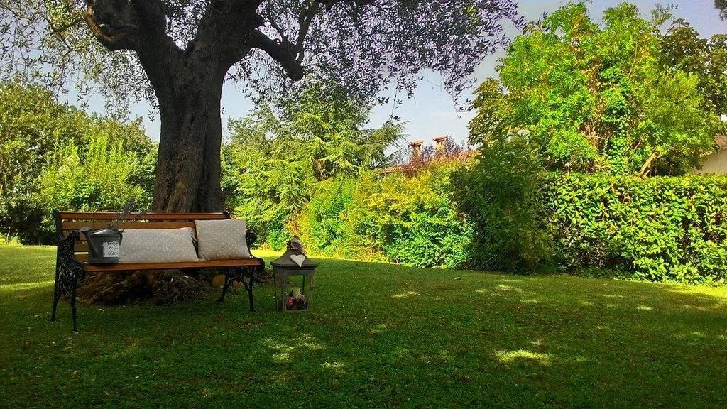 B&B Antico Ulivo