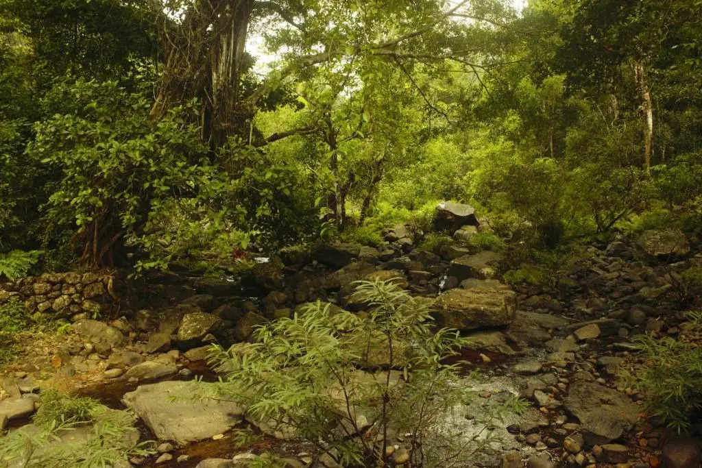 Thondar Homestays