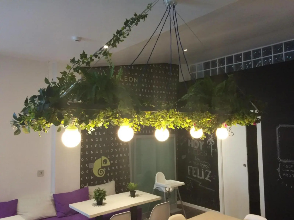 Chameleon Hostel