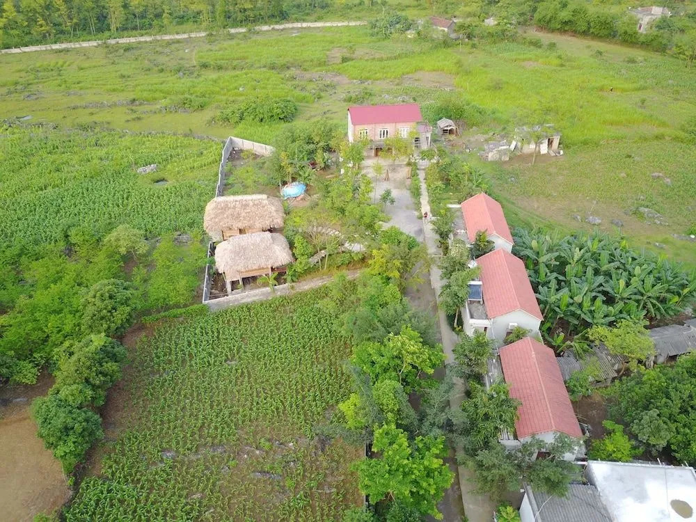 Cuc Phuong Bungalow