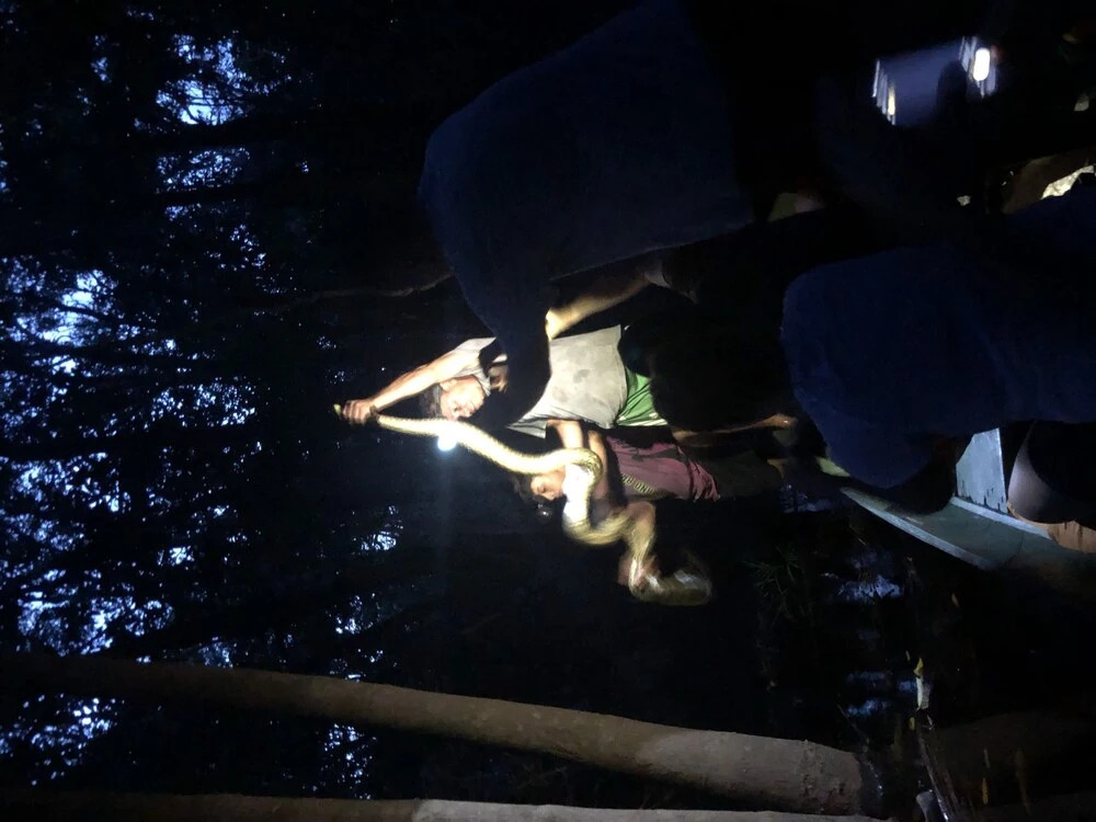 Anaconda Amazon Island