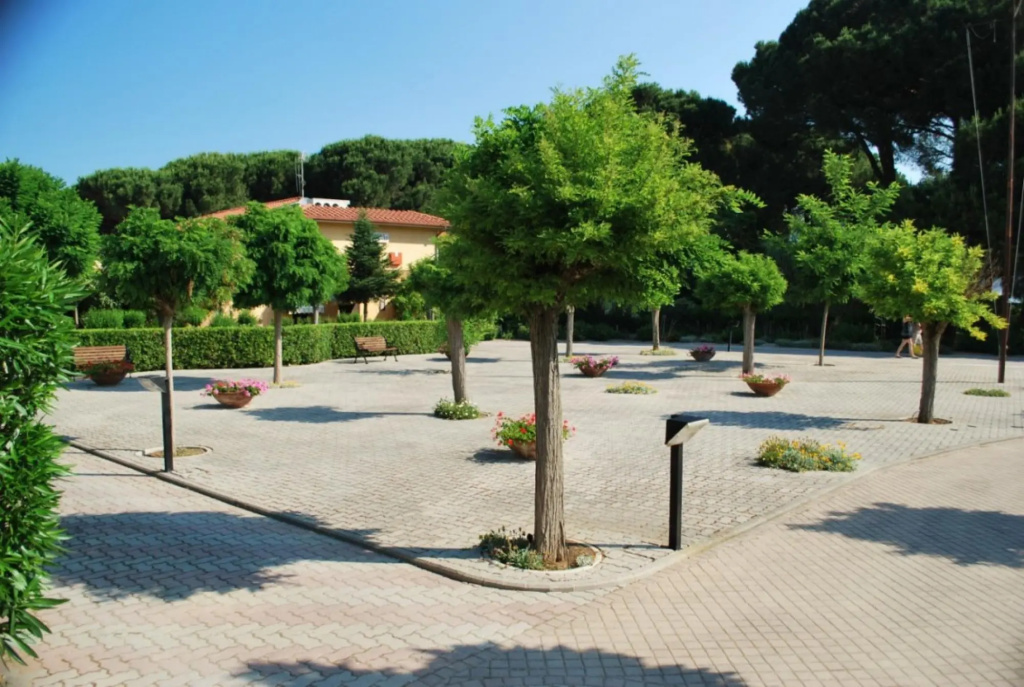 Holiday Park- Studio