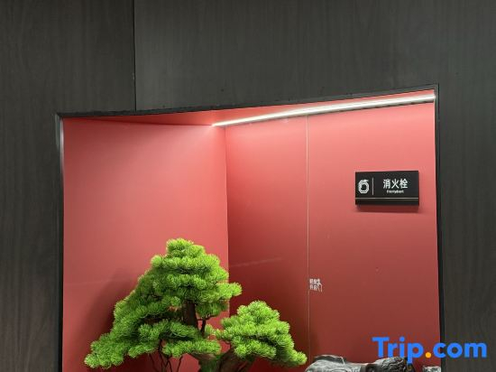 Guiyang Manshe Theme Homestay (Jiaxiulou Qingyun Market Branch)
