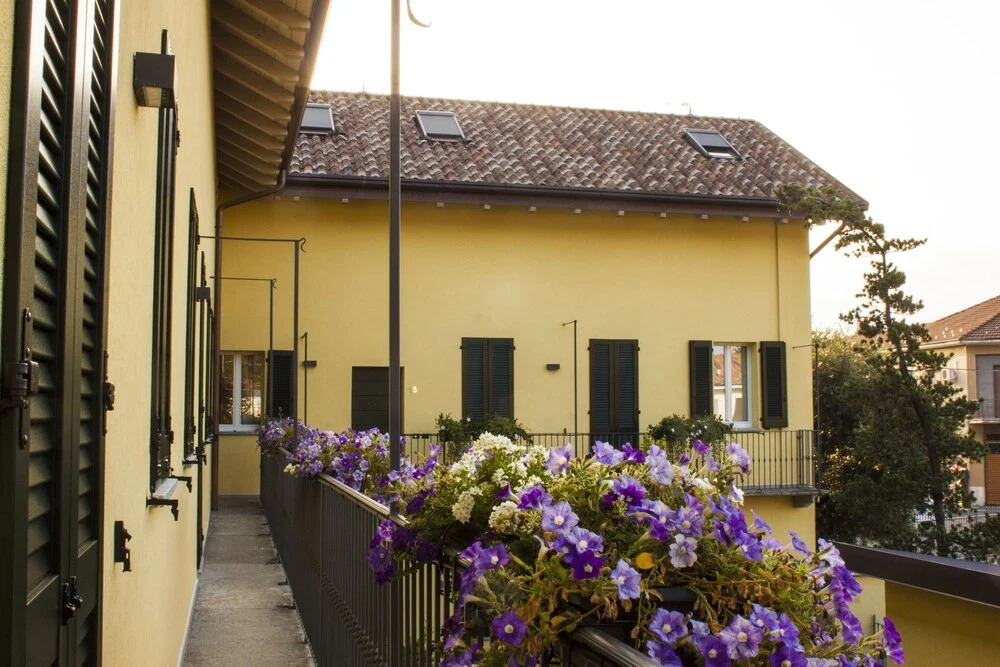 La Corte del Gallo