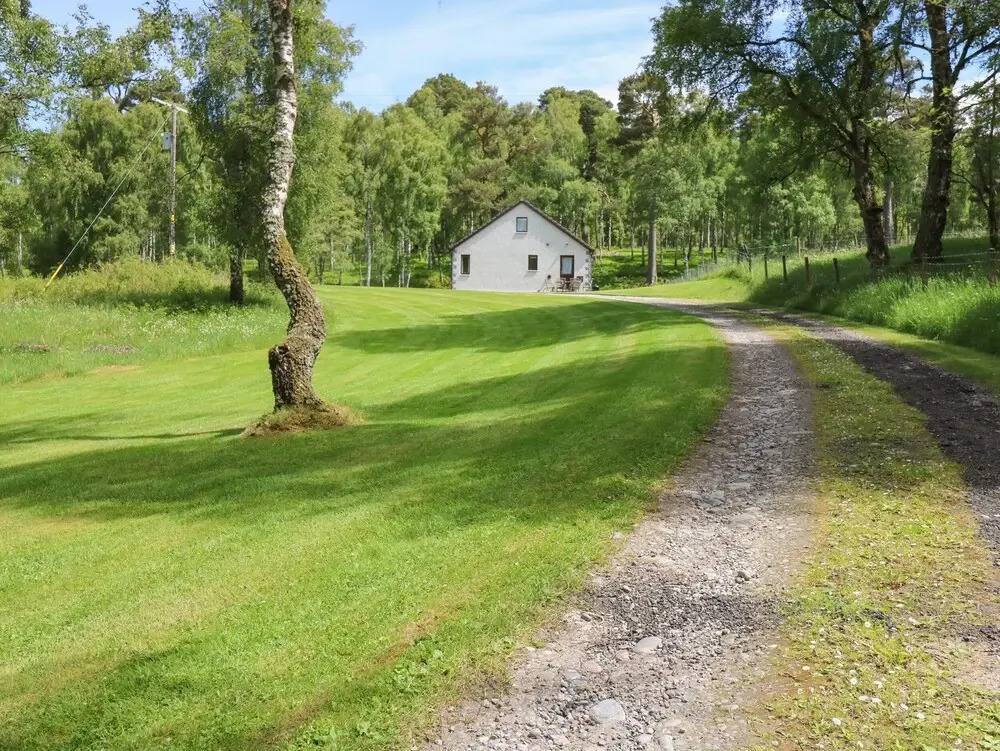 Birchbank